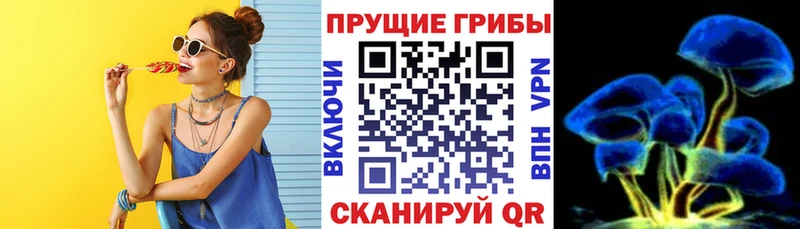Псилоцибиновые грибы GOLDEN TEACHER  Купить где  Кохма 