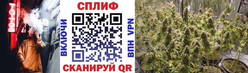 Купить закладки  Кохма  Каннабис AK-47 